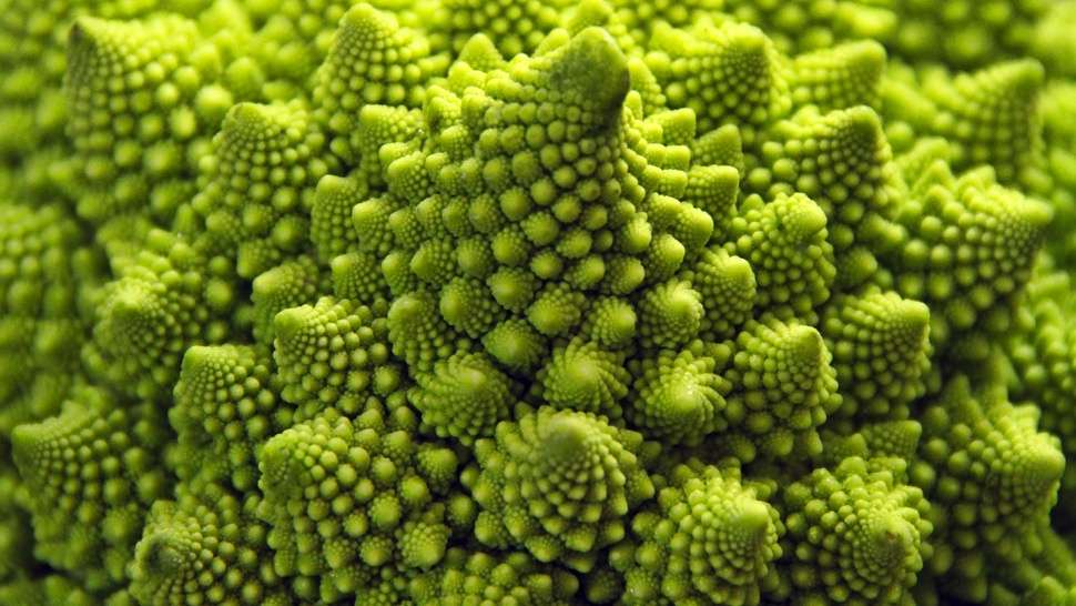 Chou Romanesco